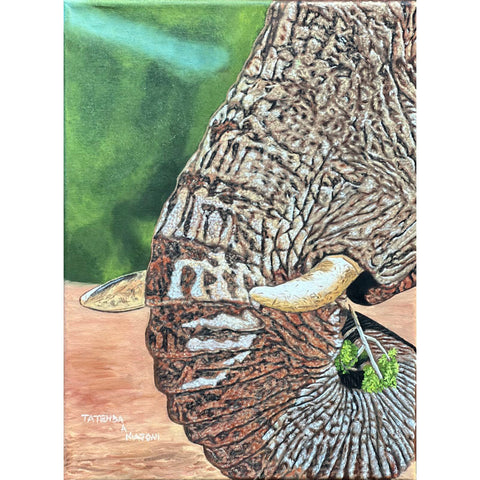 Silent Hobo - Last Chance / PAF3918
