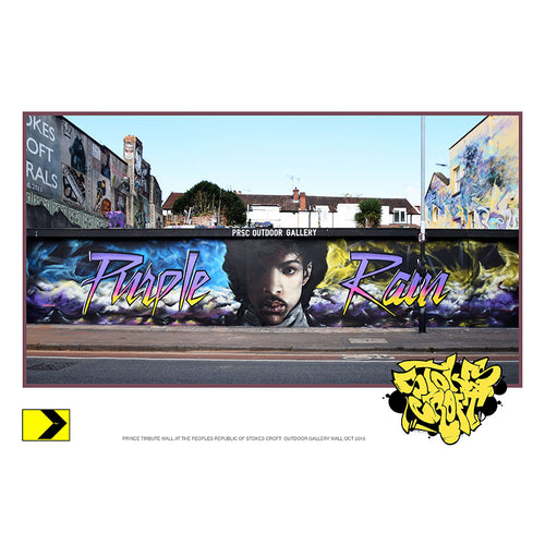 Prince Print Full Wall