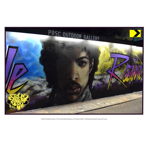 Prince Print Full Wall