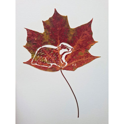 Moonbow Art - Badger Leaf cut / PAF3878