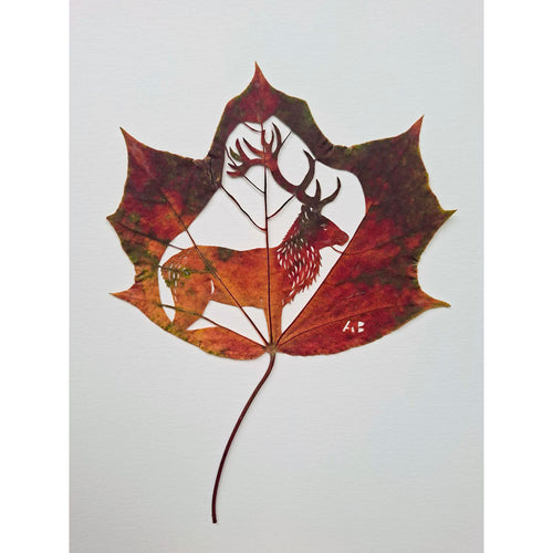 Moonbow Art - Stag Leaf Cut / PAF3876