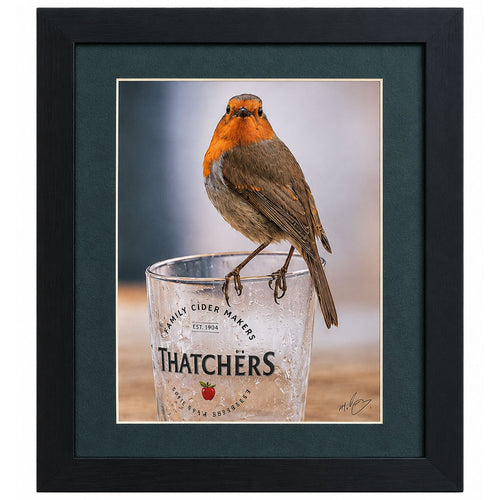 Mark Povey - Robin on a Cider Glass / PAF3847
