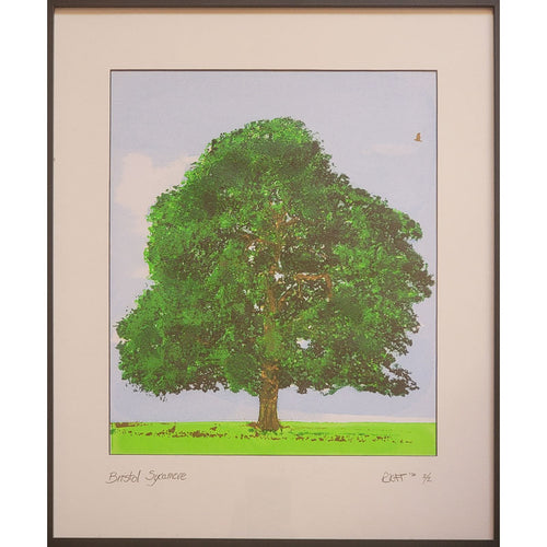 Russ Thompson - Bristol Sycamore / PAF3909