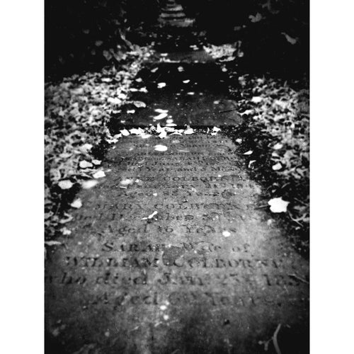 Mandi Collingridge - avenue of lost names / PAF3844