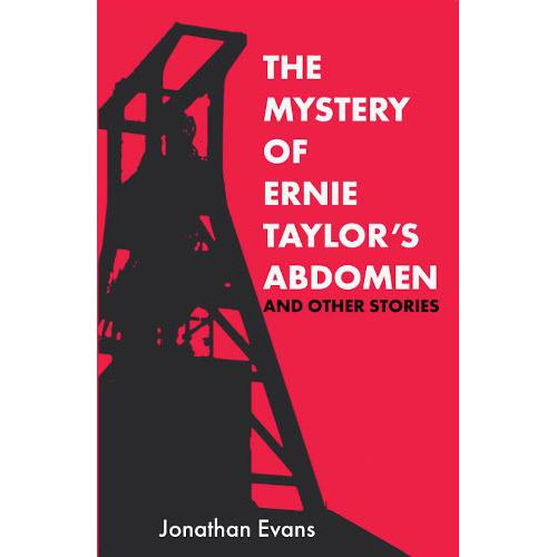 The Mystery of Ernie Taylor's Abdomen and Other Stories - Jonathan Evans