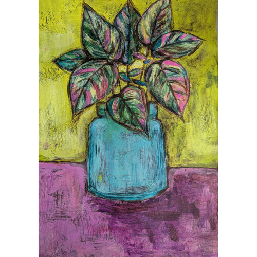 Lindsey Drage - Brillo Stripey Plant / PAF3572