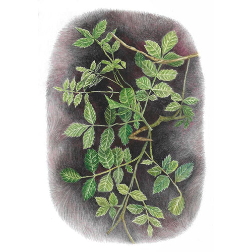 Carmen Tilley - Untitled / LOOV-172