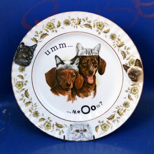 Dogs in Disguise Vintage Plate