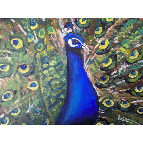 Andy Chizzle - Study of Peacock / PAF2510