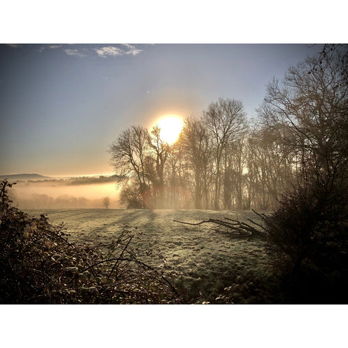 Mandi Collingridge - a chill mist / PAF2655