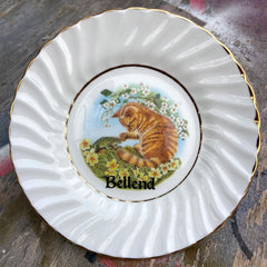Cats are Arseholes Large Vintage Trinket Dishes