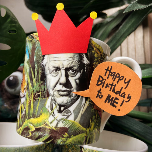 "In Celebration of Life on Earth" Attenborough Mug