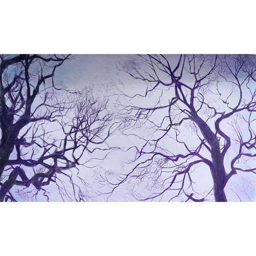 Kaye Teasdale - Trees Fishponds / PAF3802