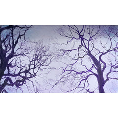 Kaye Teasdale - Trees Fishponds / PAF3802