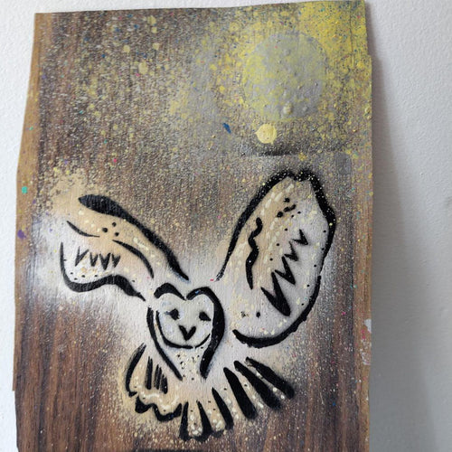 Livvy D - Owl / PAF3827