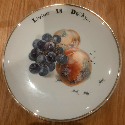 object… - Living In Decay / PAF3889