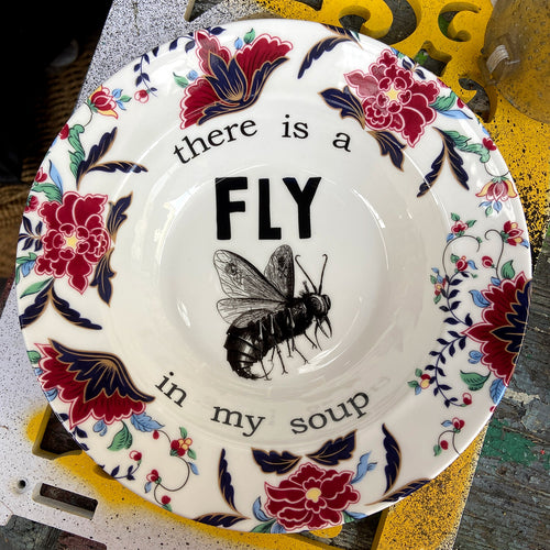 There is a Fly in My Soup