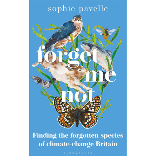 Forget Me Not - Sophie Pavelle