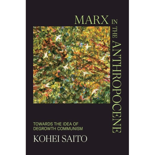 Marx in the Anthropocene: Towards the Idea of Degrowth Communism - Kohei Saito