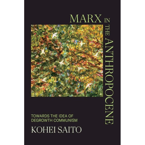 Karl Marx’s Ecosocialism: Capital, Nature, and the Unfinished Critique of Political Economy - Kohei Saito