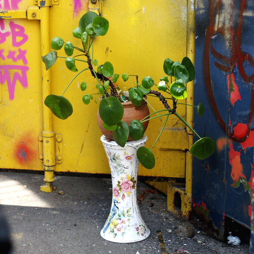 Plant Stand