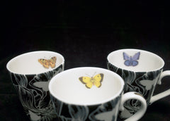 Ephemeroptera Cup & Saucer