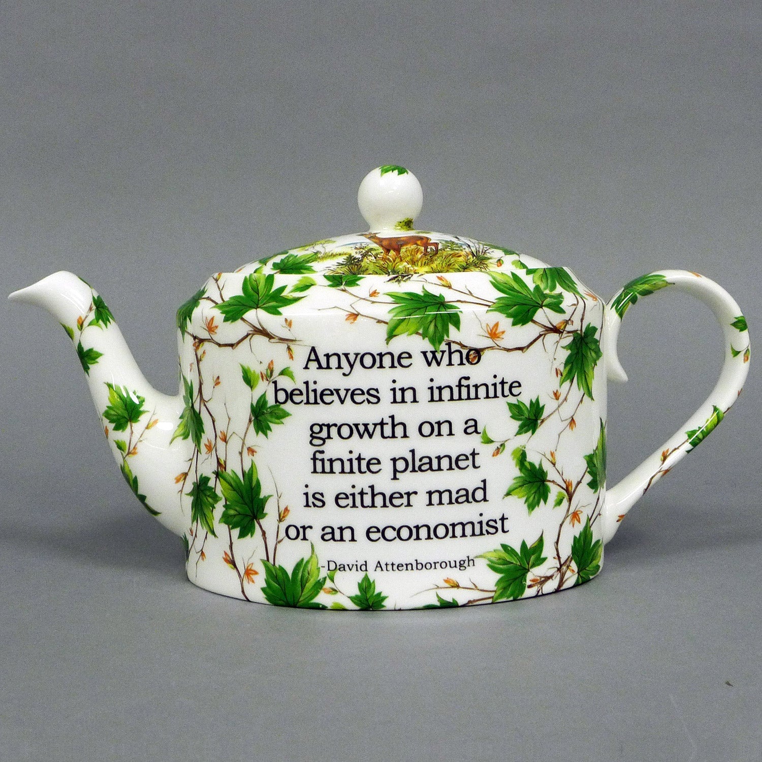 David Attenborough Teapot