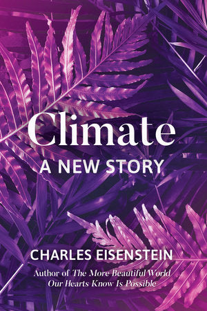 Consumed: The Need for Collective Change: Colonialism, Climate Change, and Consumerism - Aja Barber