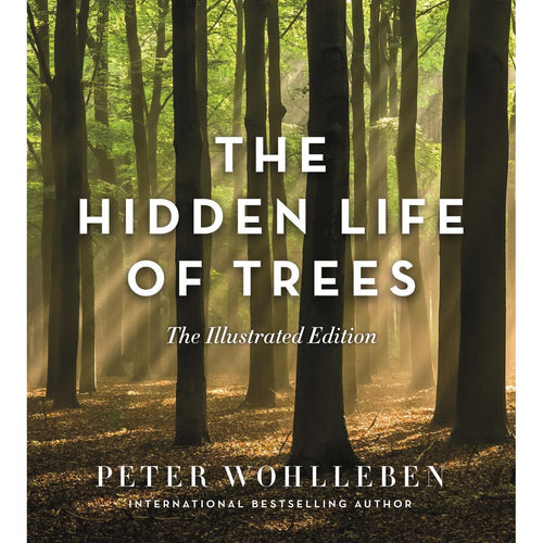 The Hidden Life of Trees: The Illustrated Edition - Peter Wohlleben