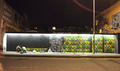 Madiba Mandela Limited Edition A2 Screen Print by Felix Braun