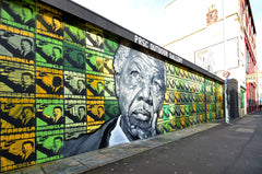 Madiba Mandela Limited Edition A2 Screen Print by Felix Braun