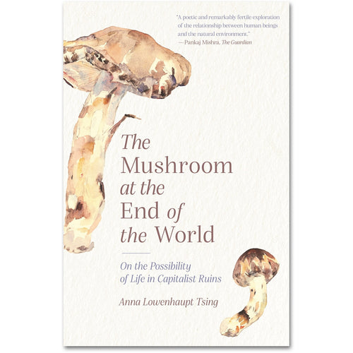 The Mushroom at the End of the World: On the Possibility of Life in Capitalist Ruins - Anna Lowenhaupt Tsing